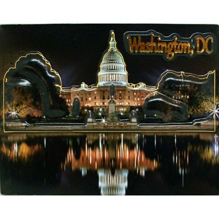 The White House at Night Washington D.C. Highlight Fridge Magnet