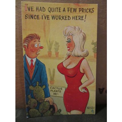 SAUCY SEASIDE POSTCARD unused Brook Pubs. Co, no 12121 cacti pricks comic humour