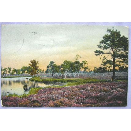 vintage postcard Tiefebane Ostenburger moorland
