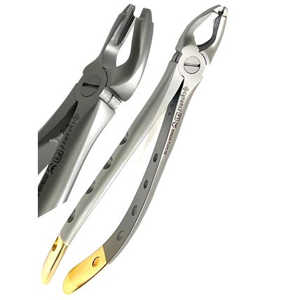 2Pcs German Premium Dental Extracting Forceps F1 Upper Universal with Gold Handl