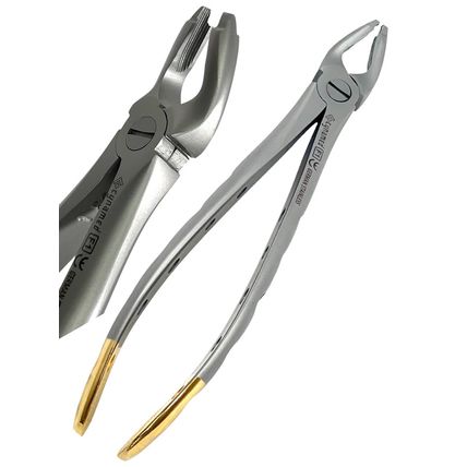 2Pcs German Premium Dental Extracting Forceps F1 Upper Universal with Gold Handl