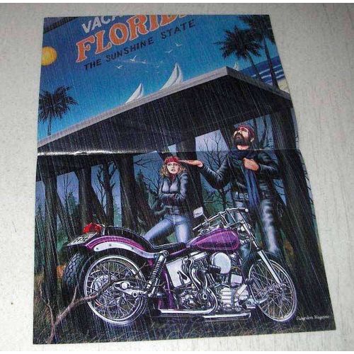 1984 David Mann Illustration - The Sunshine State