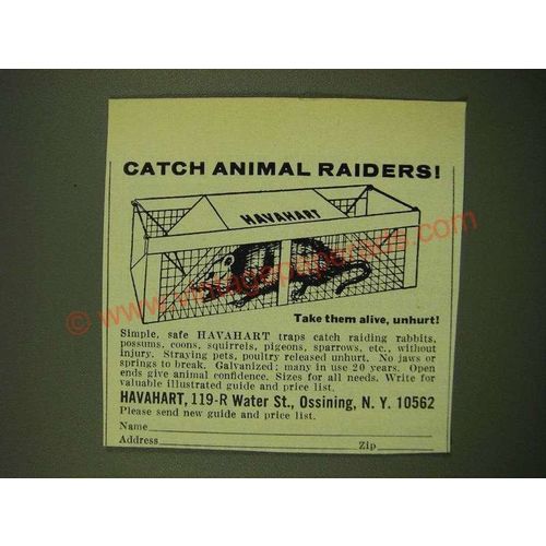 1973 Havahart Traps Ad - Catch animal raiders