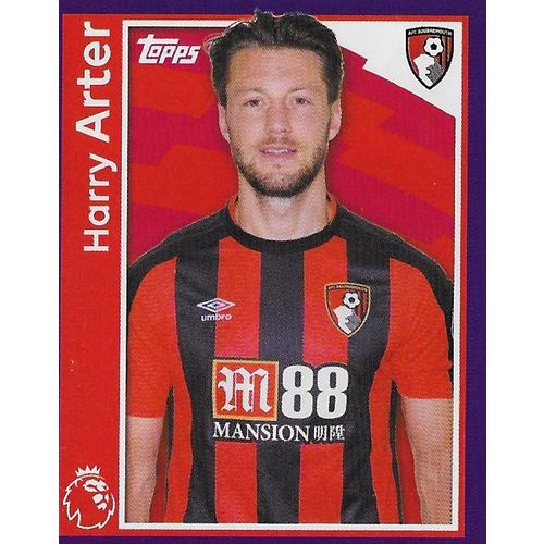 Merlin's Premier League 2018 Stickers: No.14 - Arter