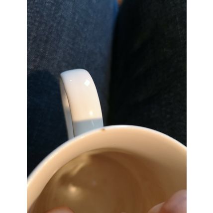 Mug Deer In Snow