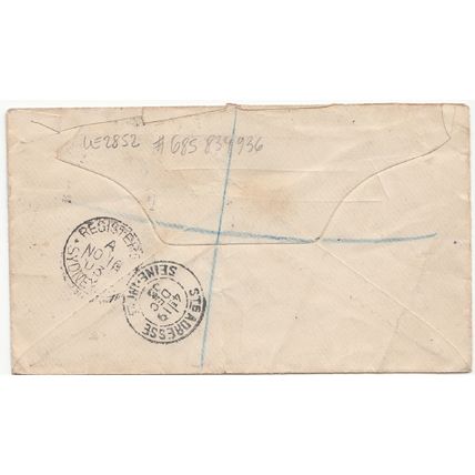 NEW SOUTH WALES Registered cover - Sydney, 16 Nov. 1903 to France