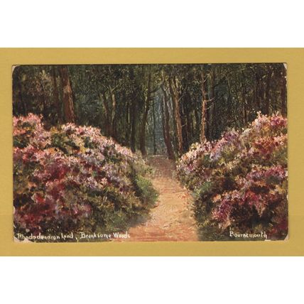Rhododendron and Branksome Woods - Bournemouth - Postally Used - 1908