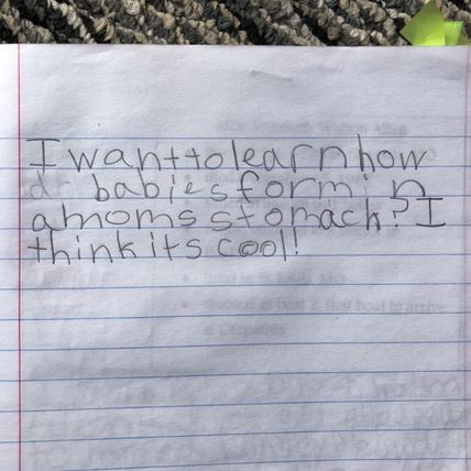 Original Writings By Piper Korff COMPOSITION NOTEBOOK School Work 2013