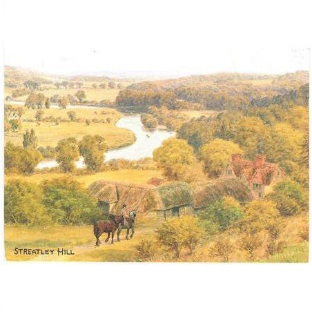 Streatley Hill, Berkshire - art view of River Thames - Salmon postcard