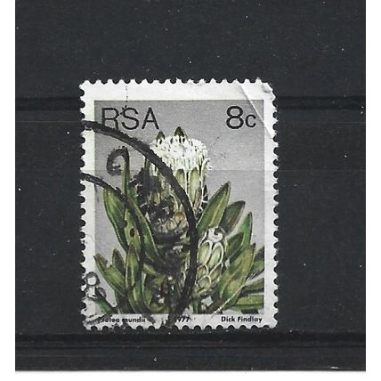 SouthAfrica.SG421 8c Protea Mundii.Fine Used.Sep25b