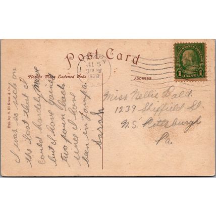 ZAYIX Postcard Florida Moss Laden Oaks 1928 S.H. Kress & Company 090222PC47