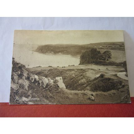 PETITOR DOWNS, BABBACOMBE, TORQUAY, DEVON used antique postcard 1914 pm =