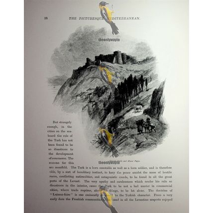 Smyrna (Izmir) Castle & Mount Pagus, Turkey, Book Illustration (Print), 1890