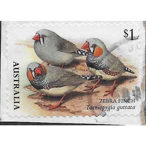 AUS 2018 $1.00 (S/A) 'BIRDS -FINCHES -ZEBRA' ON PAPER FINE USED (EBID25-885)