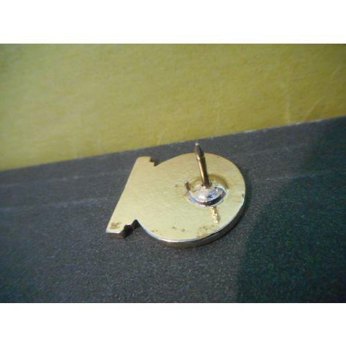 45 Years Volunteer Service Lapel Pin