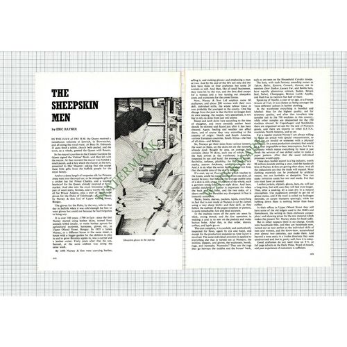 9150) Nursey & Son Bungay Suffolk - 1972 Article