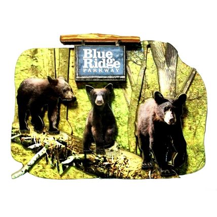 Blue Ridge Parkway North Carolina with Black Bears Artwood Fridge Magnet