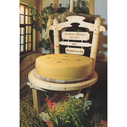 The Largest Swiss Cheese In The World Adelboden Switzerland Postcard