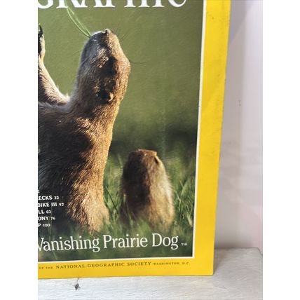 National Geographic Magazine April 1998 Prairie Dog - Vintage Collectable