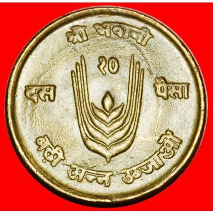 Ⰶ COW FAO: NEPAL ★ 10 PAISA 2028 (1971) ERROR!★LOW START★NO RESERVE