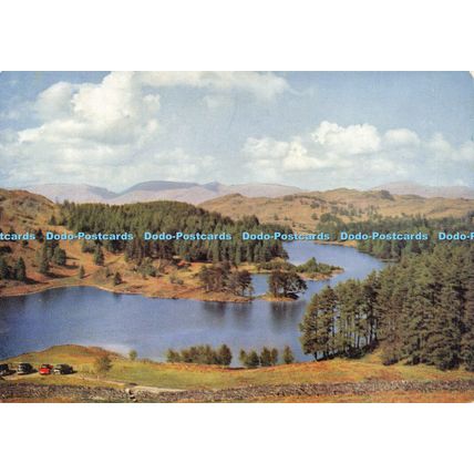 D025553 Tarn Hows. Sanderson and Dixon