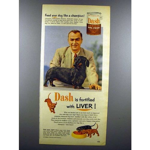 1952 Dash Dog Food Ad w/ Dachshund Champion