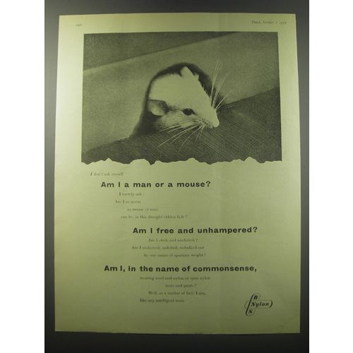 1955 BNS Nylon Ad - Am I a man or a mouse?