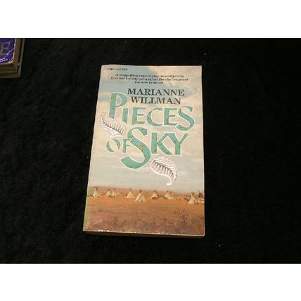 Pieces of Sky by Marianne Willman