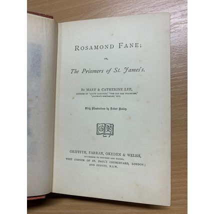 RARE* 1880s MARY & CATHERINE LEE "ROSAMOND FANE" FICTION ANTIQUE BOOK (P4)