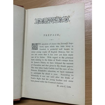 RARE* 1880s MARY & CATHERINE LEE "ROSAMOND FANE" FICTION ANTIQUE BOOK (P4)