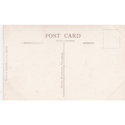 ED 192 DUBLIN - CUSTOM HOUSE .RP POSTCARD