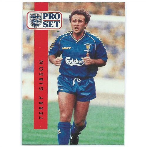 1990/1991 Pro Set Footbal - #248 - Terry Gibson