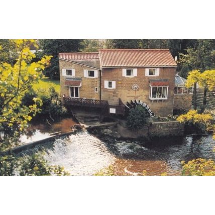 Knaresborough Water Wheel River Nidd Large Postcard