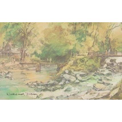 Watersmeet Devon East Lyn Moss Fern History Watercolour Painting Postcard