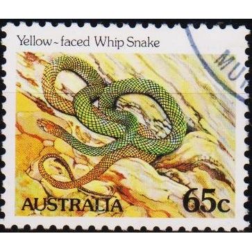 Australia. 1981 65c S.G.799 Used