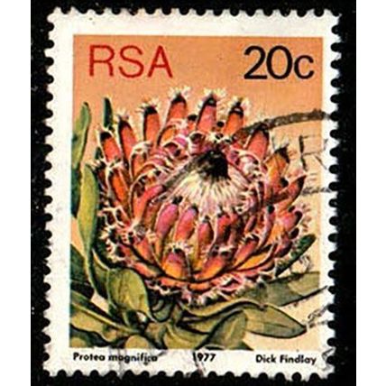 South Africa RSA 1977 Flowers Protea 20c Used Stamp