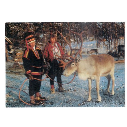 LAPLAND, FINLAND unused vintage postcard REINDEER #