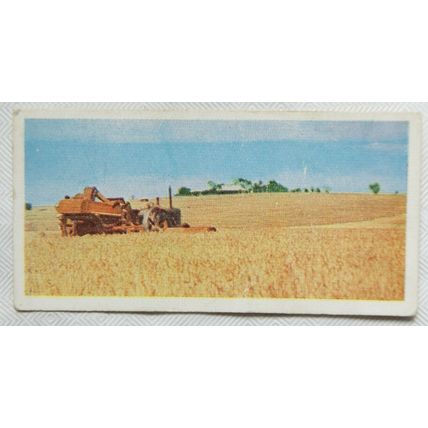 Lyons Tea card Australia No. 36 Wheat Farming