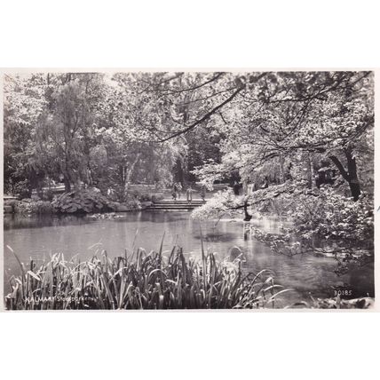 Kalmar Stadparken Real Photo Sweden Postcard