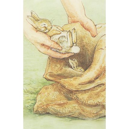 The Tale Of The Flopsy Bunnies Beatrix Potter 1909 Book Postcard