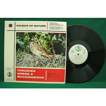 Borror/Gunn - Sounds Of Nature-V. 8-Thrushes, Wrens & Mockingbirds - T 52151-EX+