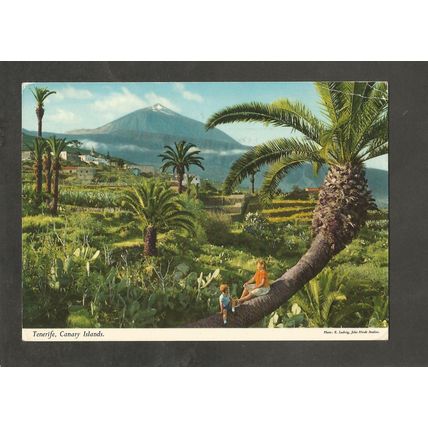 Postcard Canary Islands Tenerife John Hinde 2CT13 Mount Tiede
