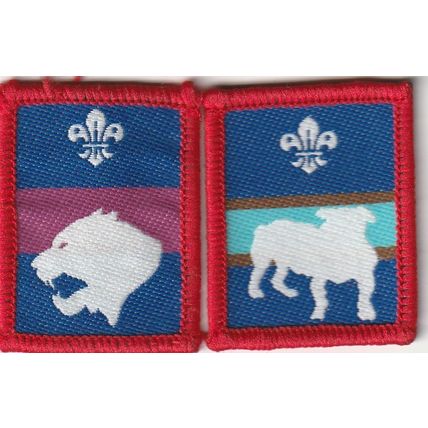 Scout Patrol Badges - Tiger (Used) & Bulldog - Black Backs (BY87)