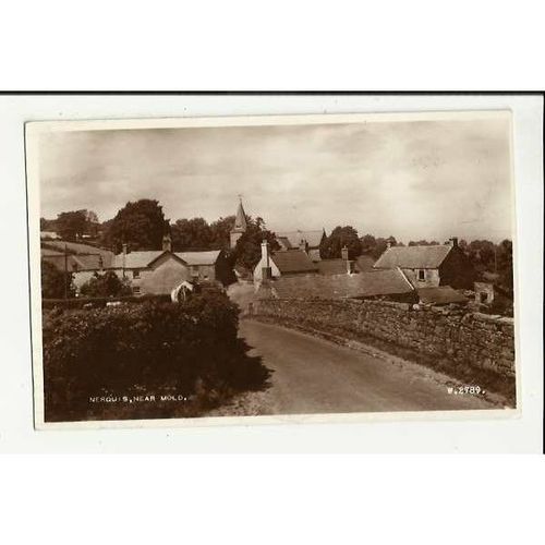 Wales NERQUIS Postcard by Valentine (W.2789)