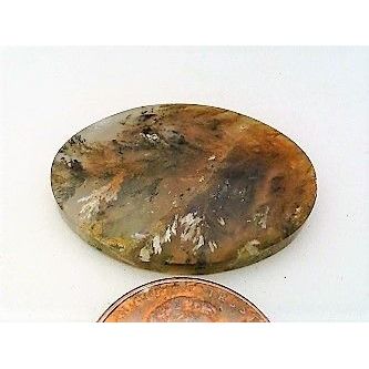 Golden Plume Agate Freeform Gemstone Cabochon 223