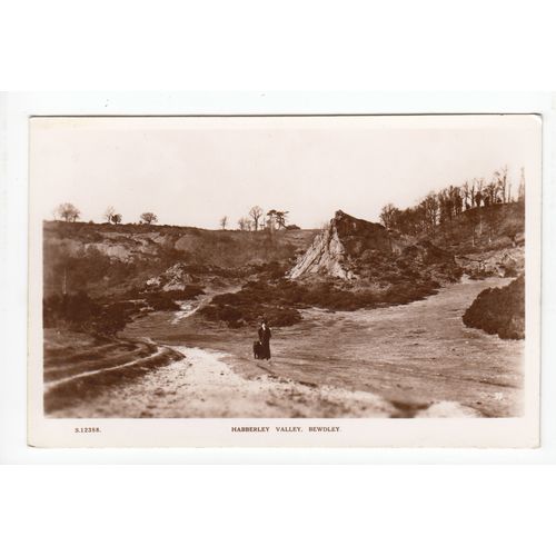 Habberley Valley Bewdley Postcard RP Worcestershire