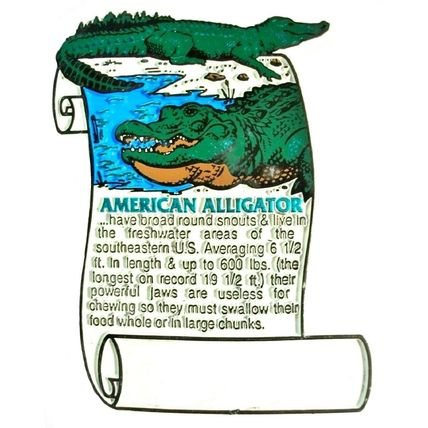 American Alligator History Fridge Magnet
