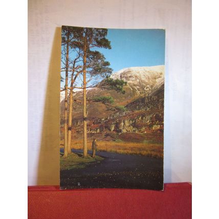 SLOPES OF LIATHACH, TORRIDON, Wester Ross used postcard Colourmaster 1978 pm =