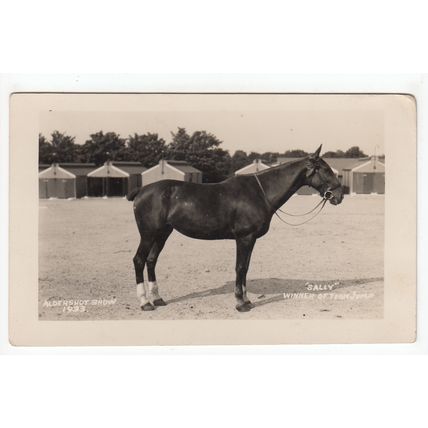 Horse Sally Winner of the Team Jump 1933 Aldershot Show RP Postcard