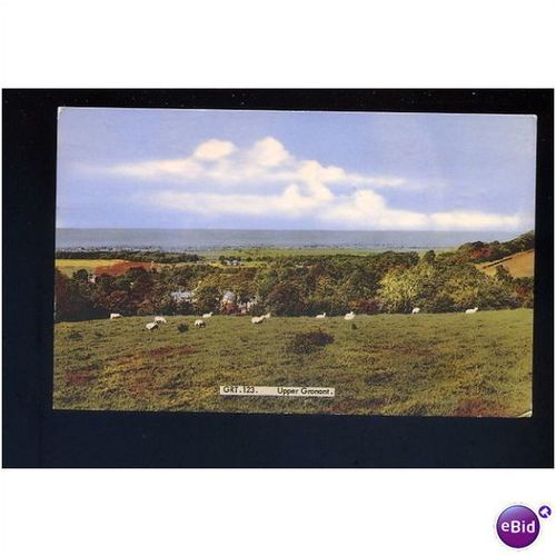 Wales UPPER GRONANT Postcard by Frith (GRT.123)